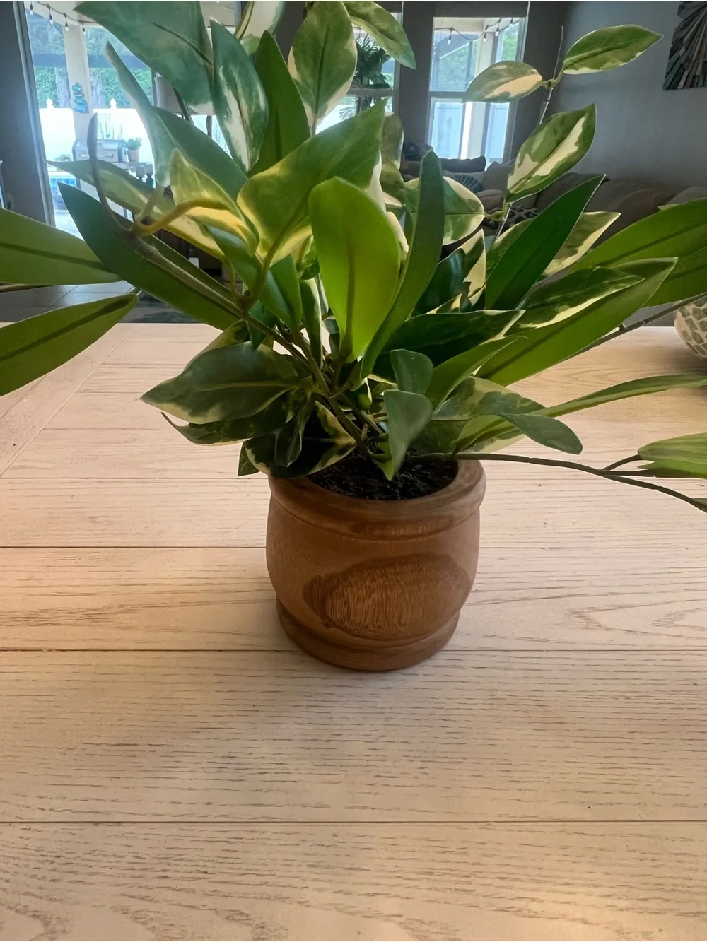 Green Lifelike Variegated Faux Plant in Wooden Pot